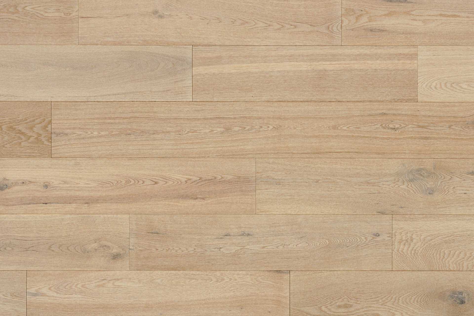 Authentic Sable 150 - Image 9