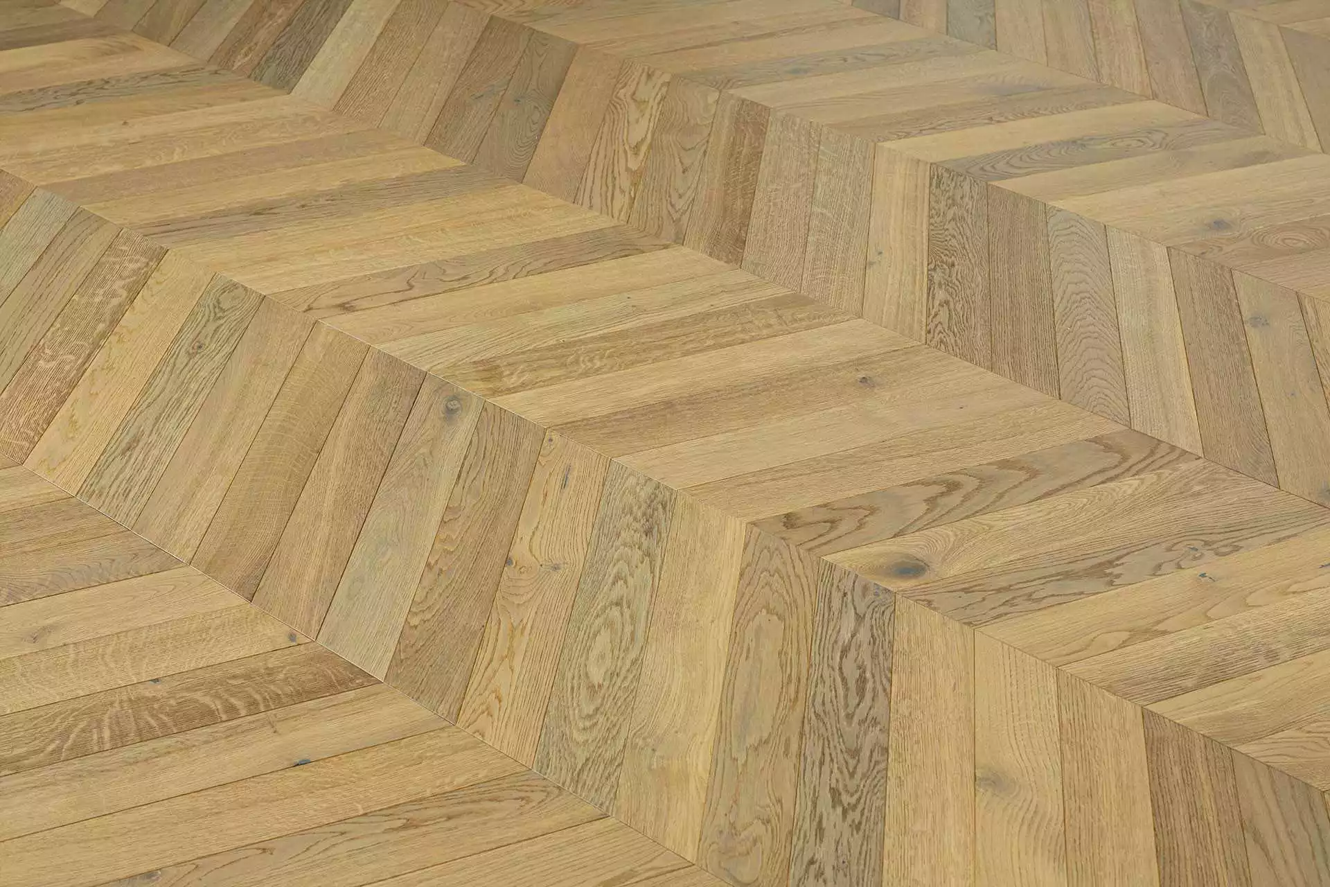 HAWK CHEVRON - Image 5