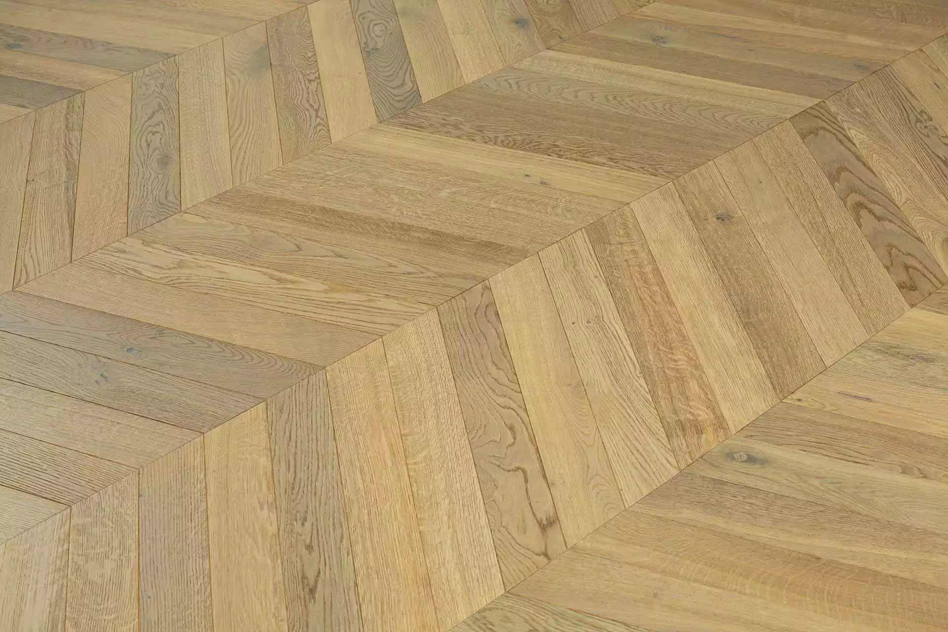 HAWK CHEVRON - Image 6