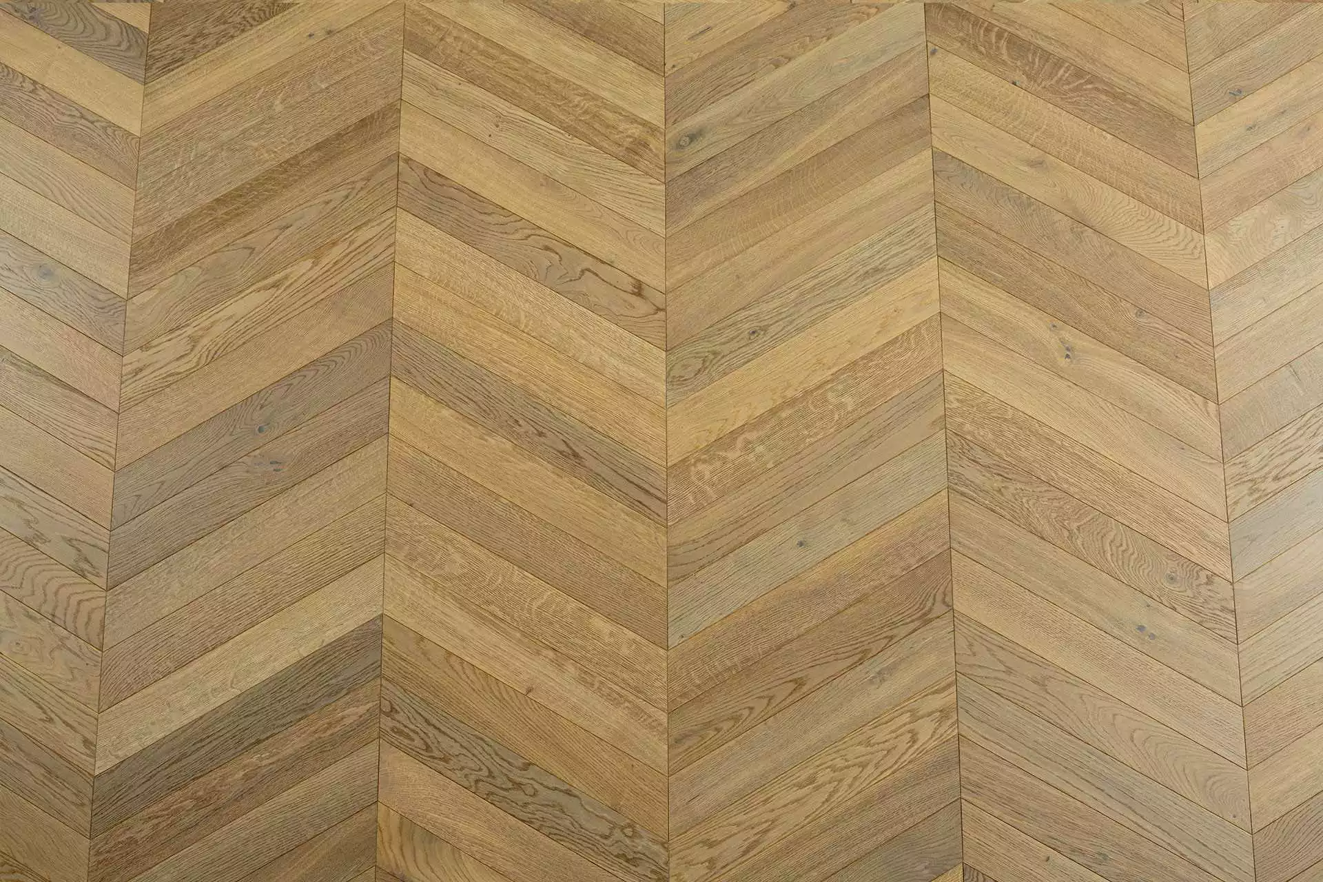 HAWK CHEVRON - Image 8