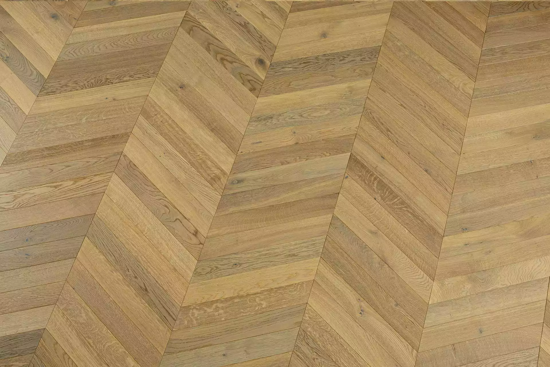 HAWK CHEVRON - Image 9