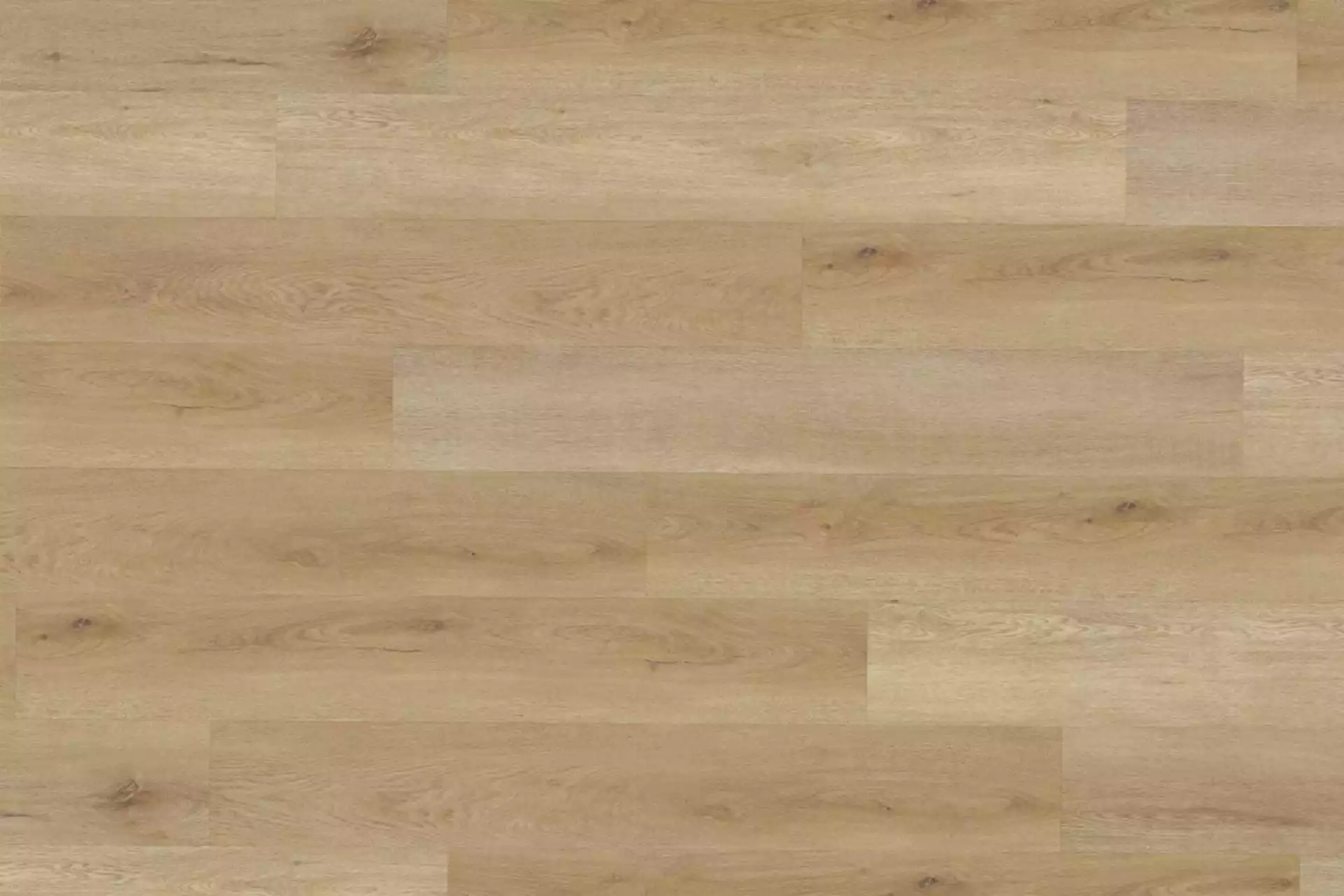 Delicate Oak Natural XL - Image 1