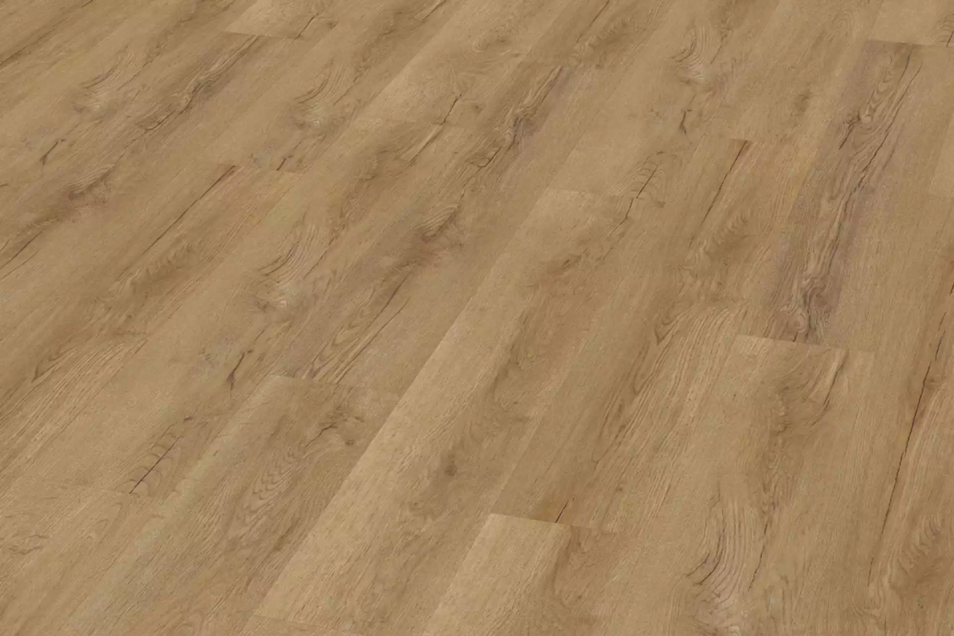 Bavarian Oak Honey XL - Image 1