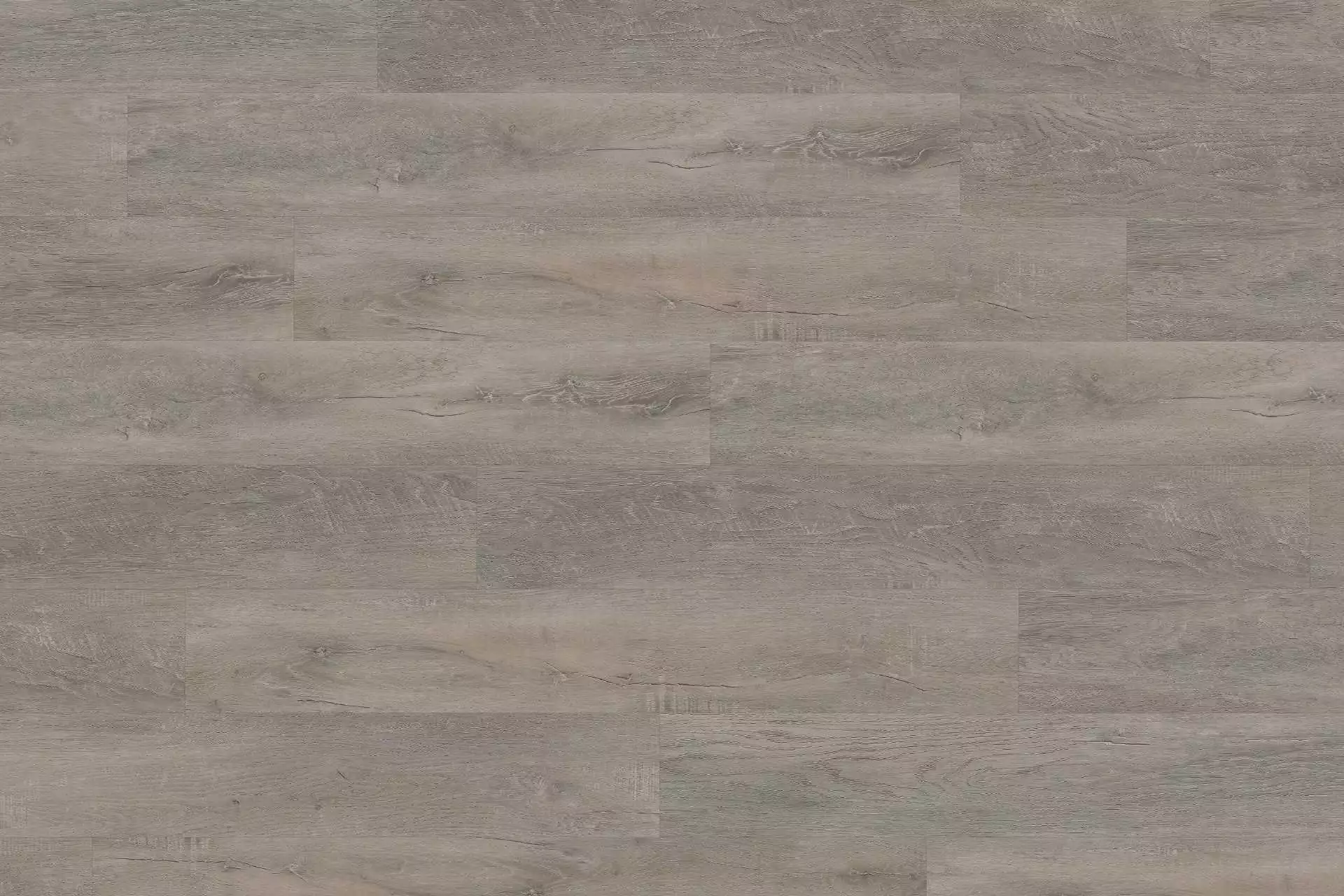 Solide Old Oak Greige XL - Image 1