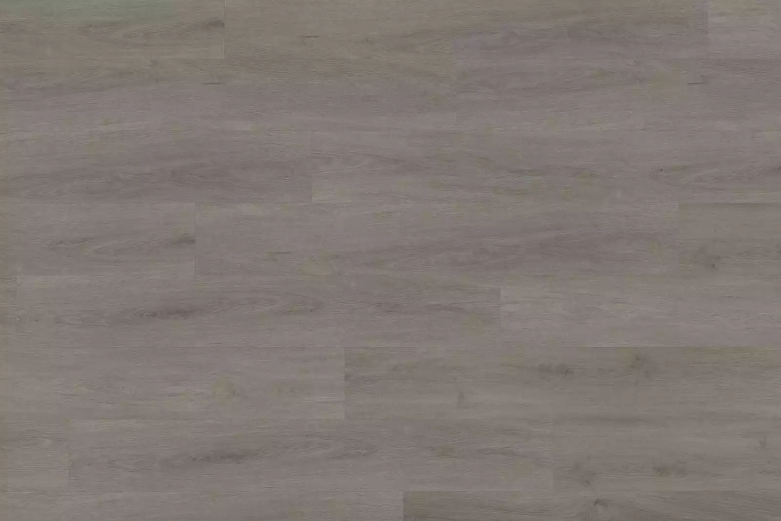 Solide English Oak Taupe XL - Image 2