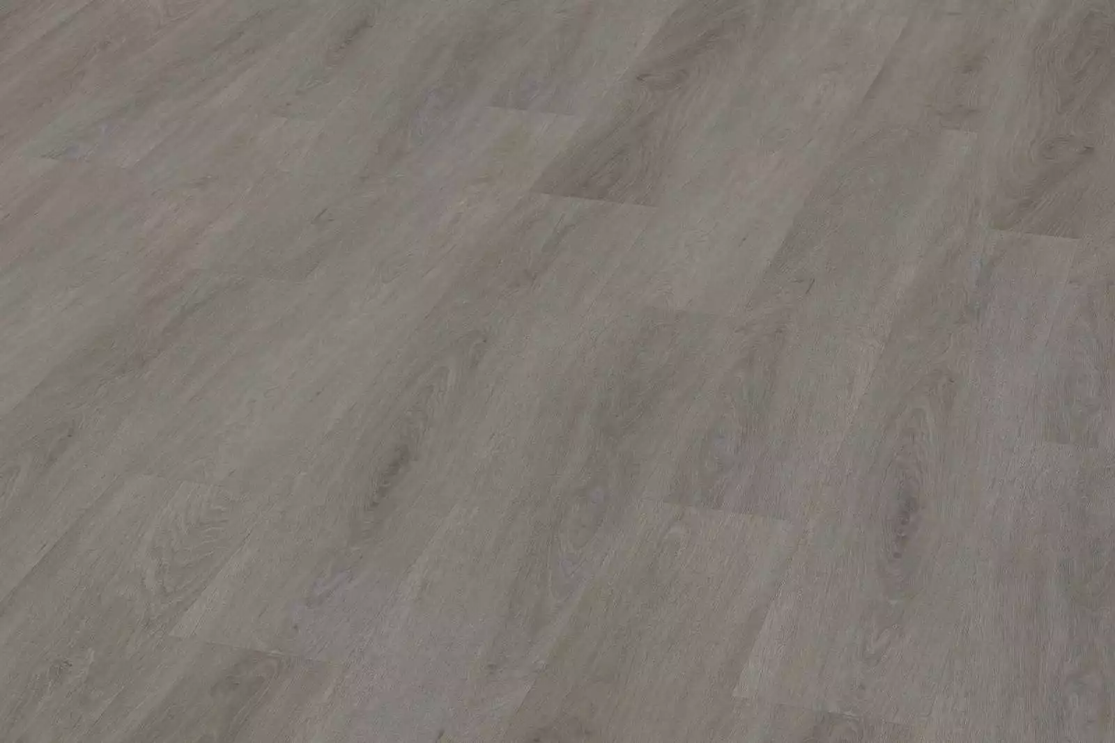 Solide English Oak Taupe XL - Image 4