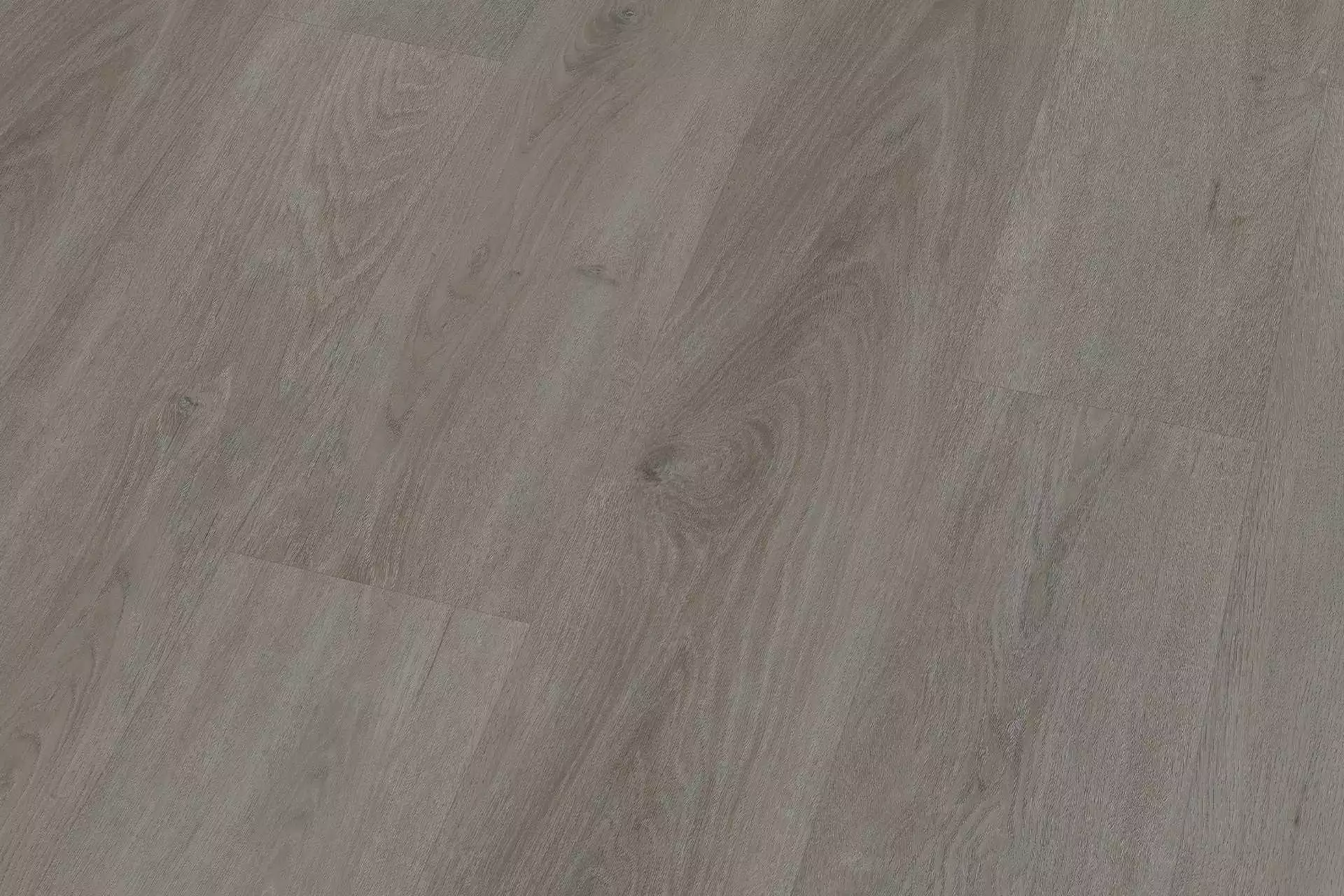 Solide English Oak Taupe XL - Image 5