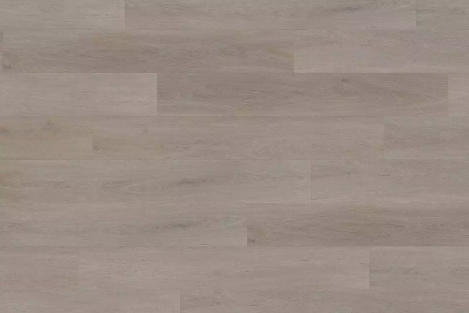 Solide English Oak Greige XL - Image 3