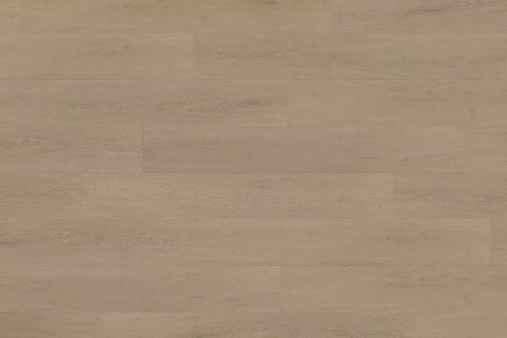 Solide English Oak Warm Natural XL - Image 2