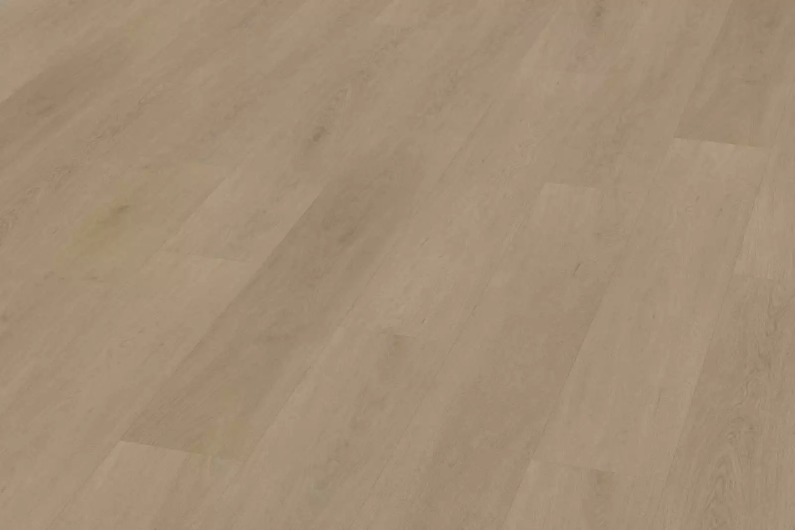 Solide English Oak Warm Natural XL - Image 4