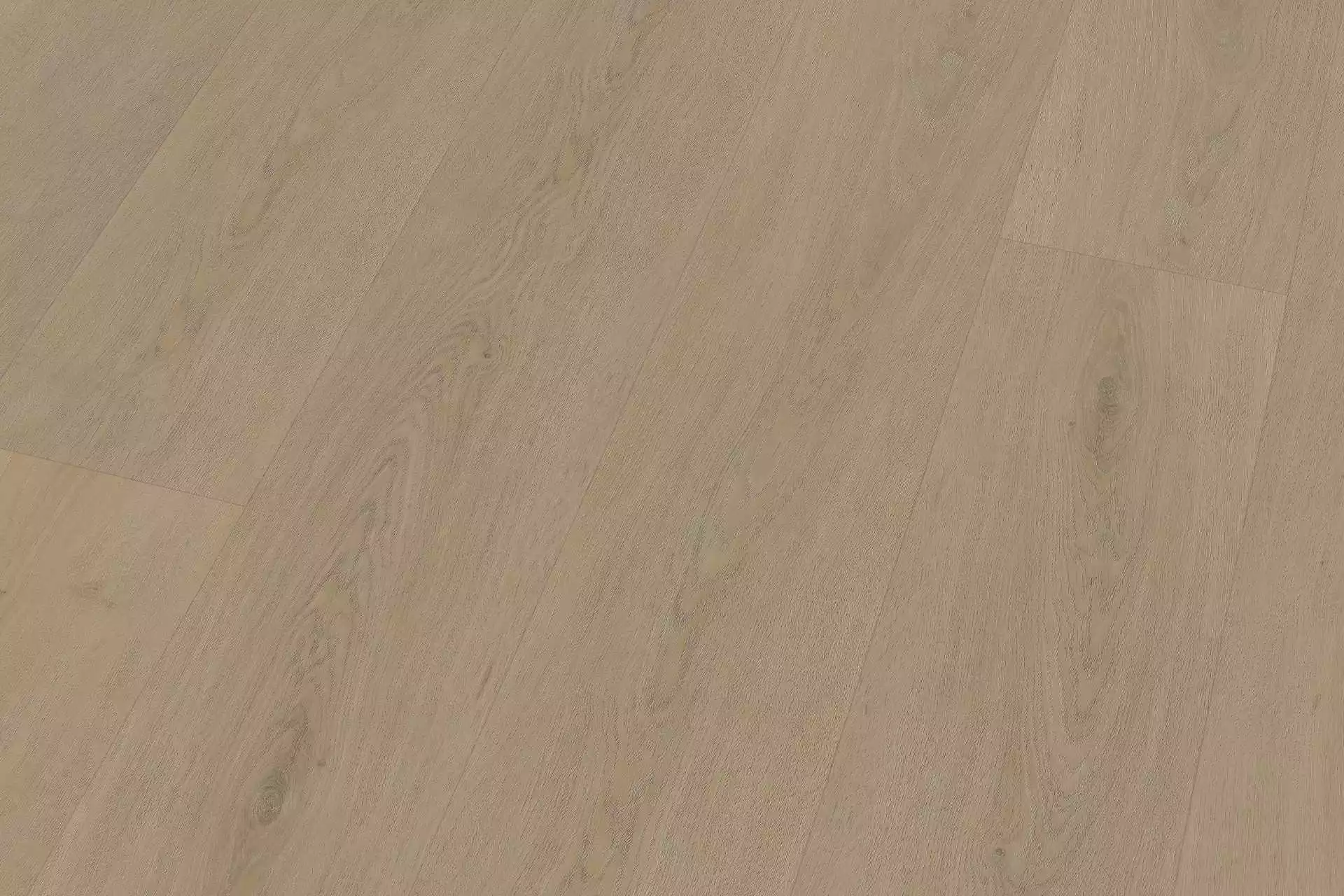 Solide English Oak Warm Natural XL - Image 5