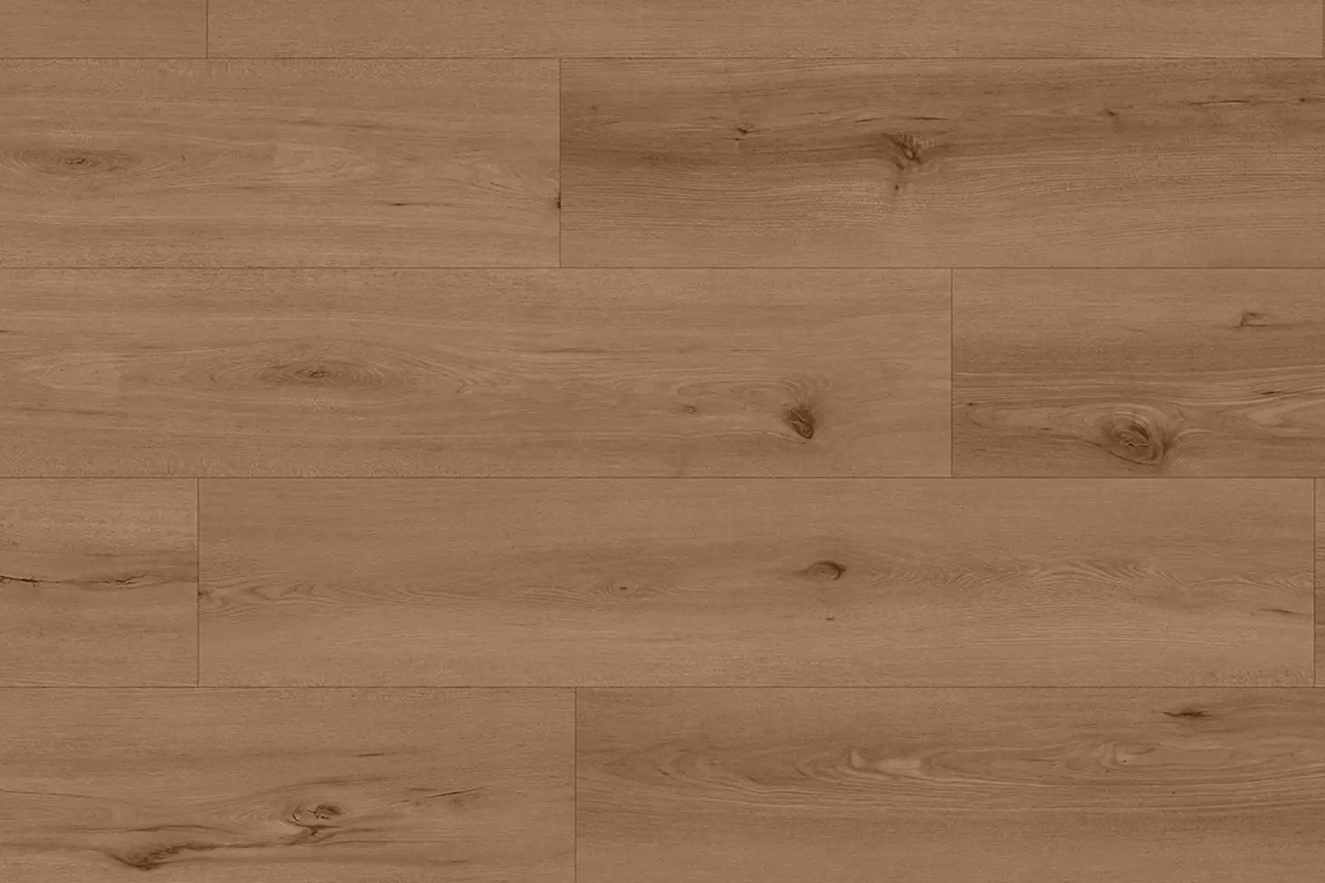 Neva Harvest XXL - Image 1