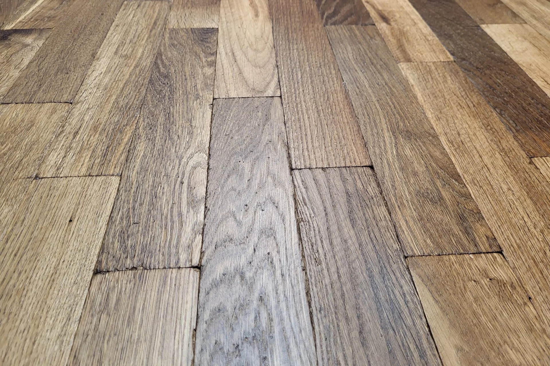 TERRA RUSTIC OAK - Image 0